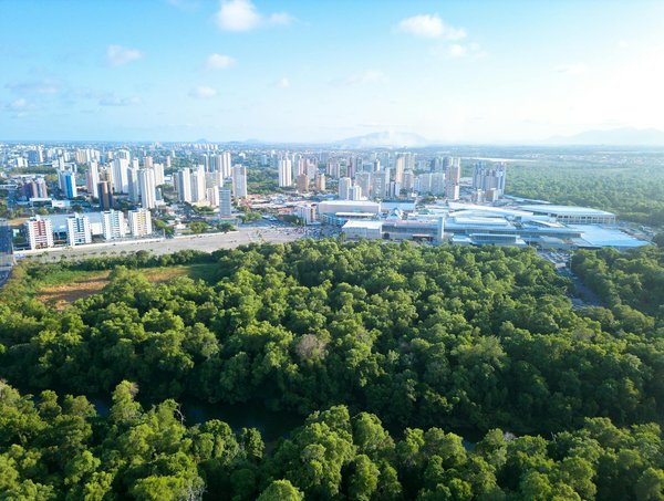 les erreurs courantes à éviter lors d'une recherche d'emploi en tant que jeune diplômé