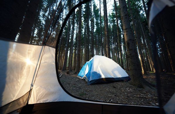 Découvrez la magie des campings France
